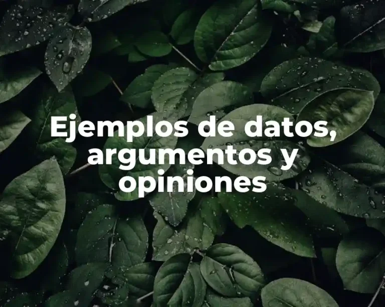 Ejemplos de datos, argumentos y opiniones
