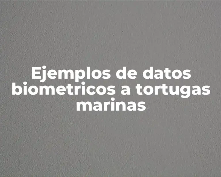 Ejemplos de datos biometricos a tortugas marinas