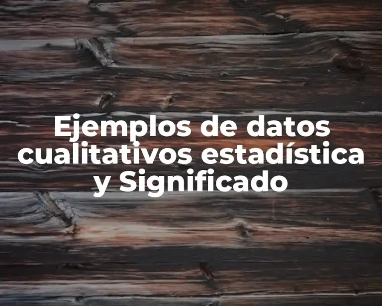 Ejemplos de datos cualitativos estadística y Significado