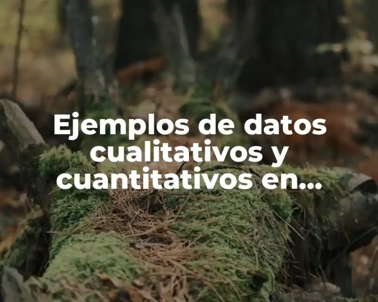 Ejemplos de datos cualitativos y cuantitativos en estadística
