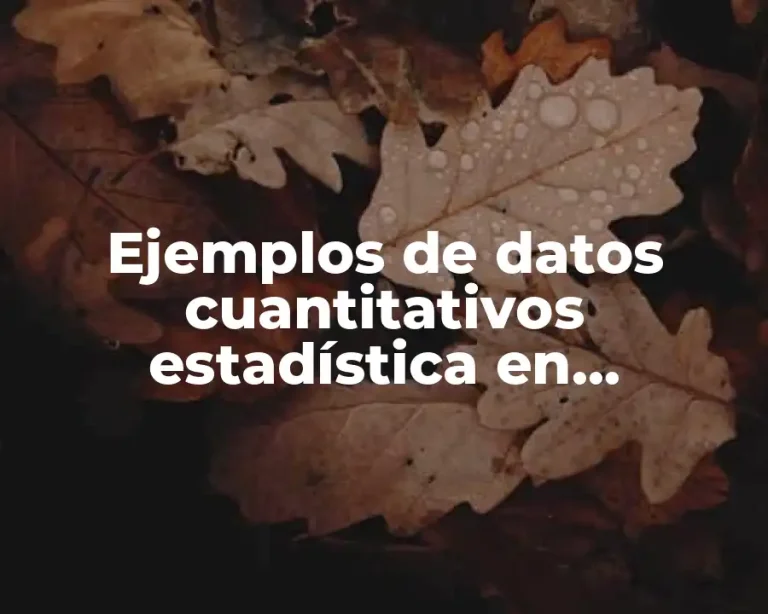 Ejemplos de datos cuantitativos estadística en discapacidades físicas por sexo y Significado
