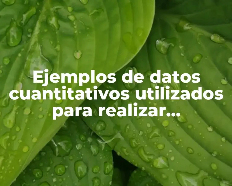 Ejemplos de datos cuantitativos utilizados para realizar estadísticas