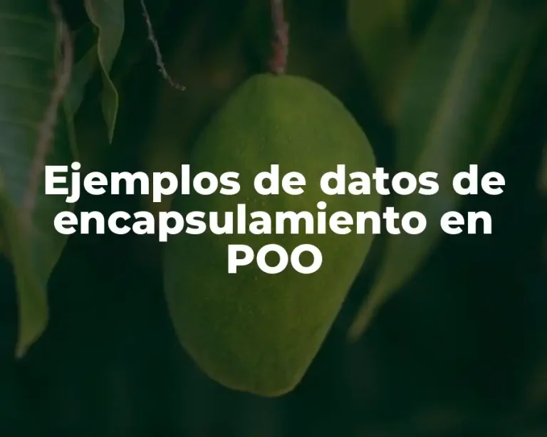 Ejemplos de datos de encapsulamiento en POO