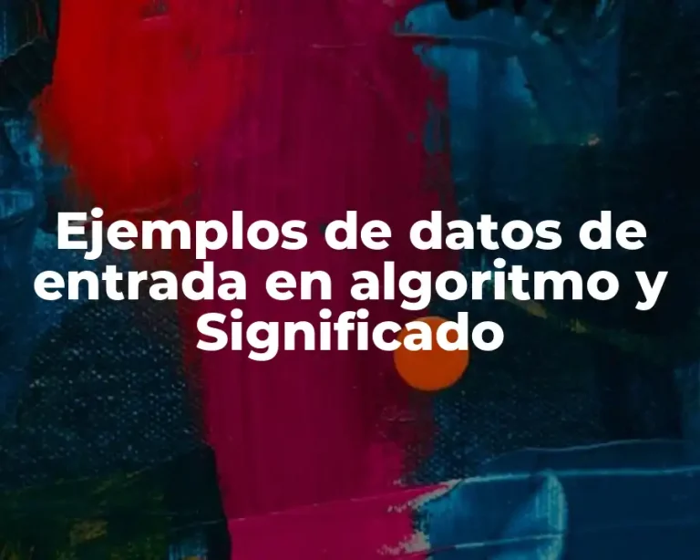 Ejemplos de datos de entrada en algoritmo y Significado