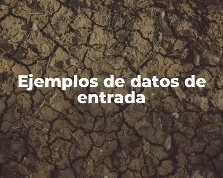Ejemplos de datos de entrada