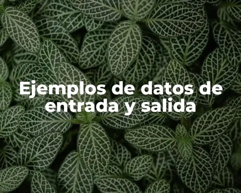 Ejemplos de datos de entrada y salida