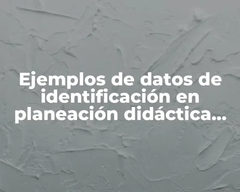 Ejemplos de datos de identificación en planeación didáctica preescolar