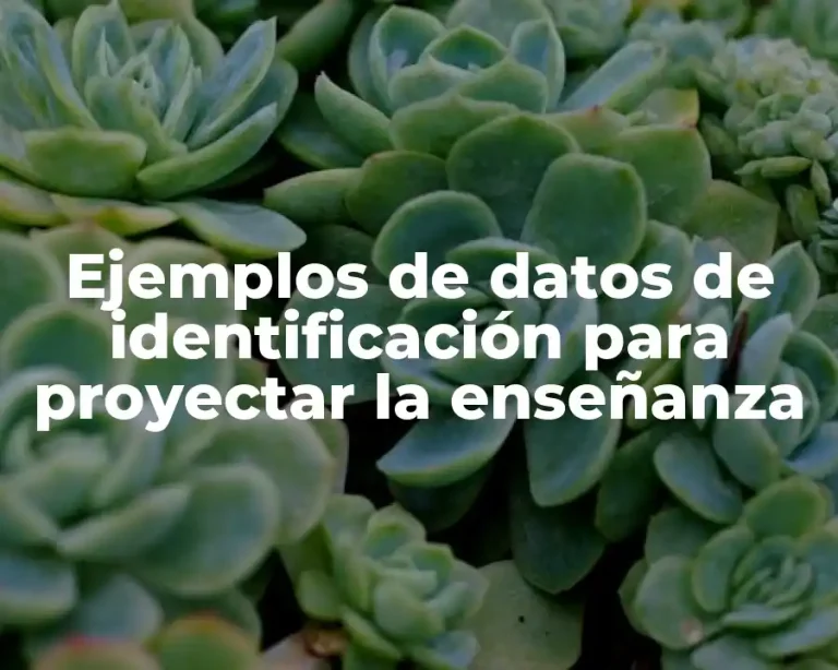 Ejemplos de datos de identificación para proyectar la enseñanza