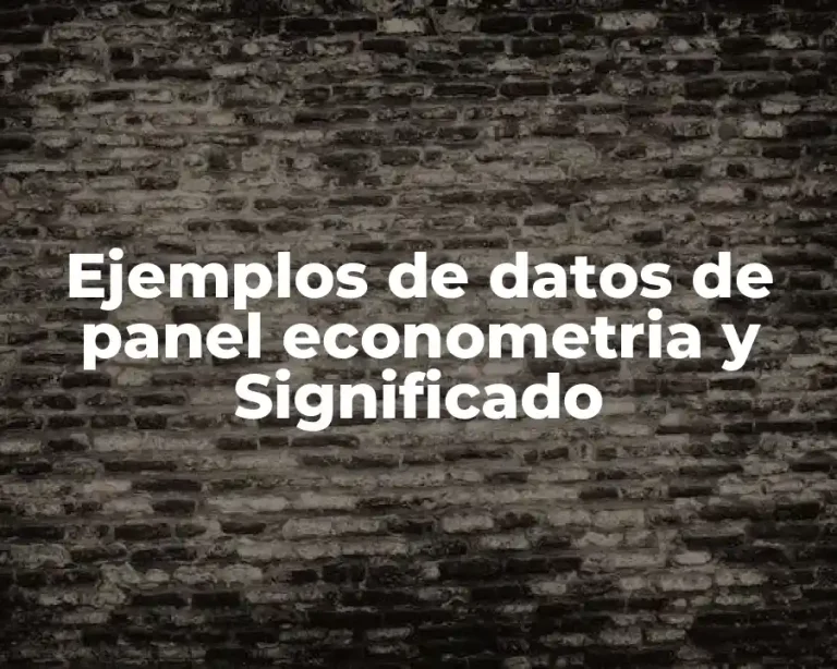 Ejemplos de datos de panel econometria y Significado