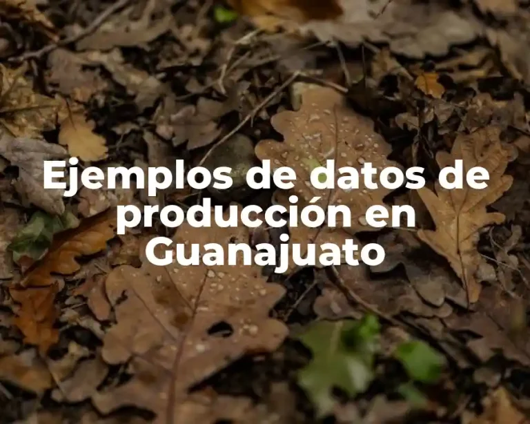 Ejemplos de datos de producción en Guanajuato