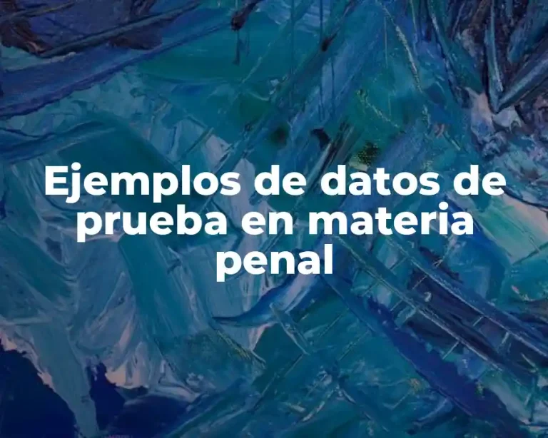Ejemplos de datos de prueba en materia penal