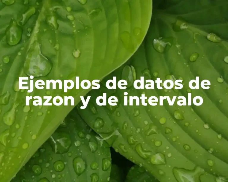 Ejemplos de datos de razon y de intervalo