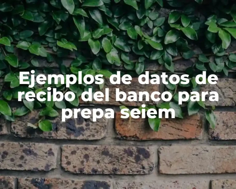 Ejemplos de datos de recibo del banco para prepa seiem