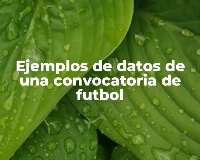 Ejemplos de datos de una convocatoria de futbol