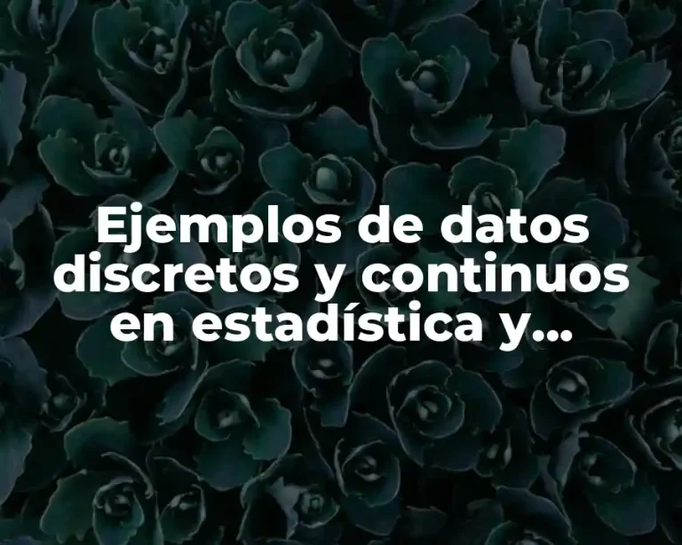 Ejemplos de datos discretos y continuos en estadística y Significado