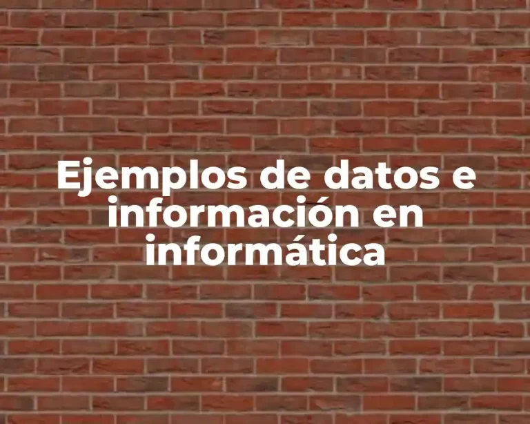 Ejemplos de datos e información en informática