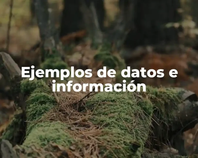 Ejemplos de datos e información