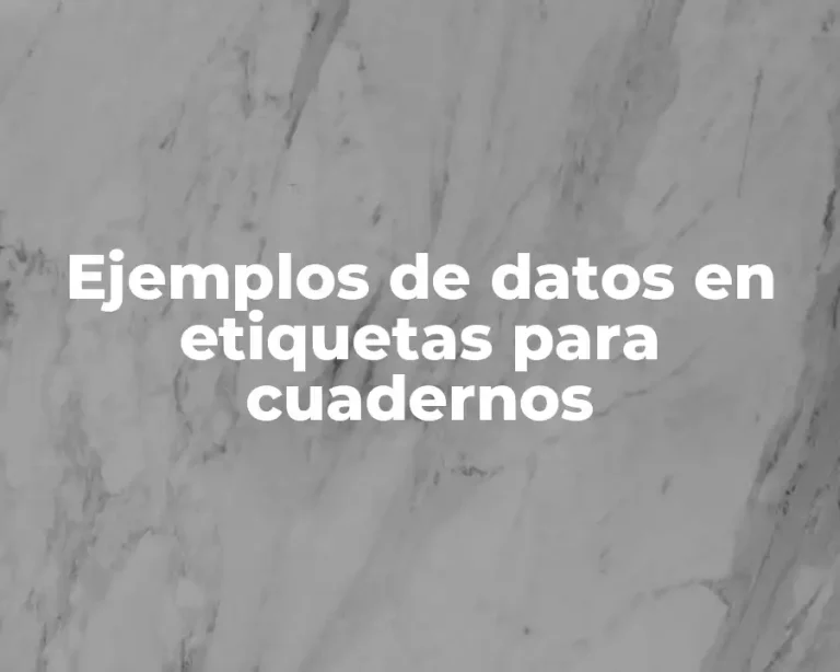 Ejemplos de datos en etiquetas para cuadernos