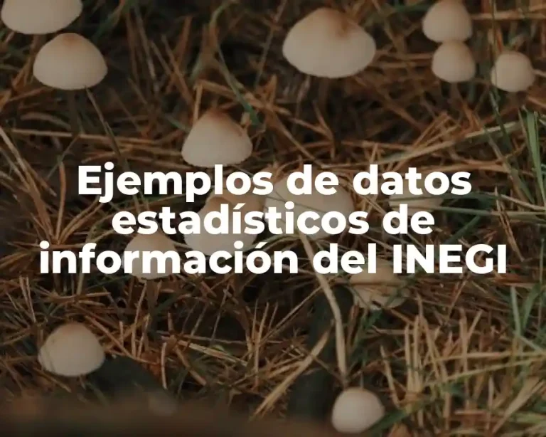 Ejemplos de datos estadísticos de información del INEGI