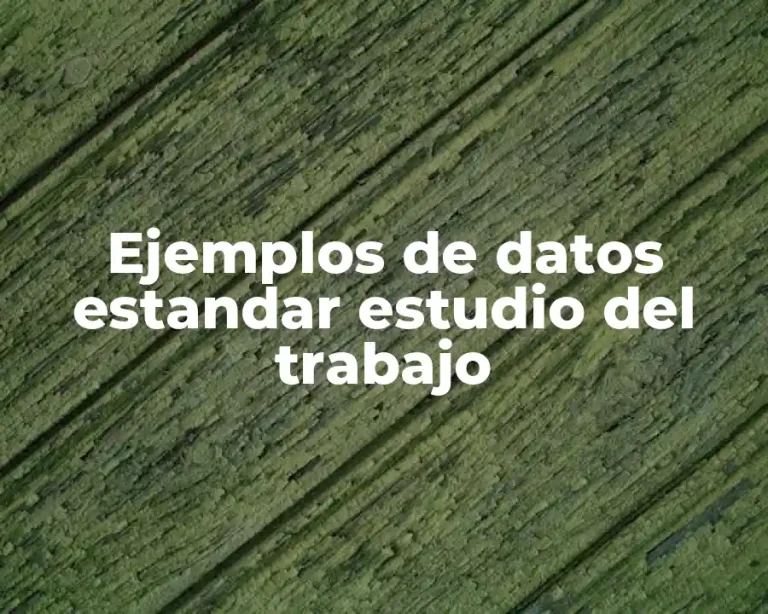 Ejemplos de datos estandar estudio del trabajo