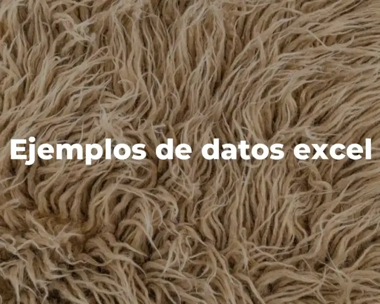 Ejemplos de datos excel