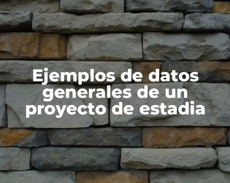 Ejemplos de datos generales de un proyecto de estadia