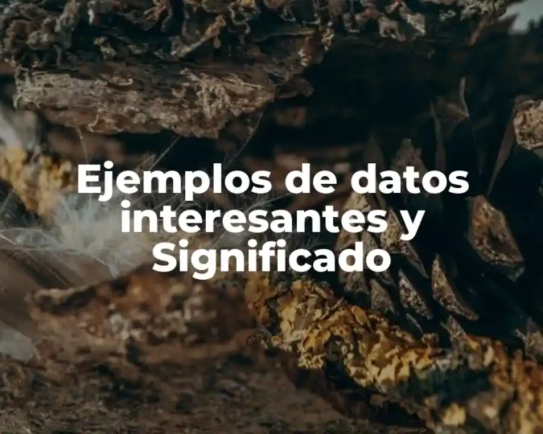 Ejemplos de datos interesantes y Significado
