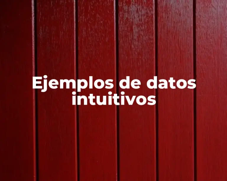 Ejemplos de datos intuitivos