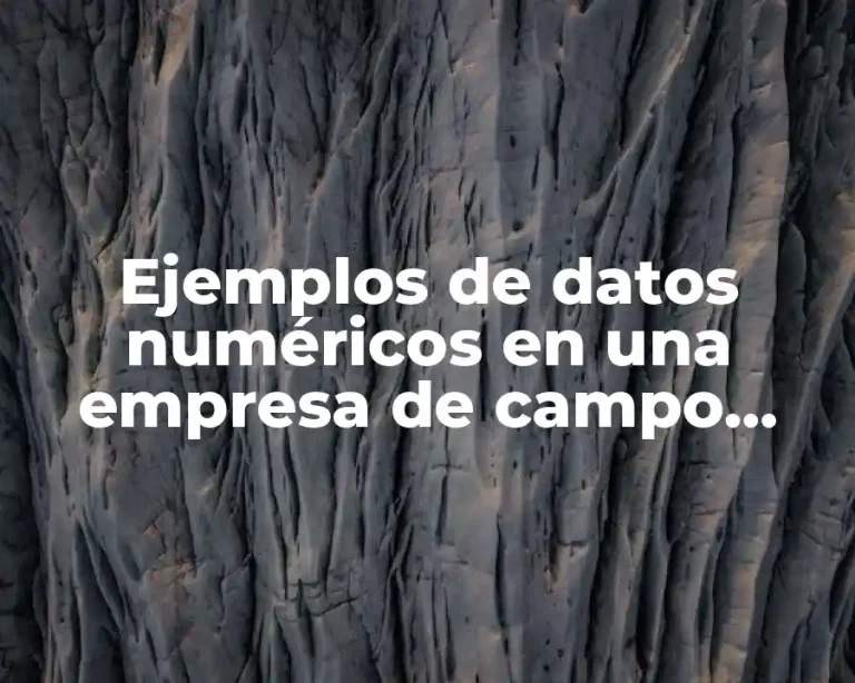 Ejemplos de datos numéricos en una empresa de campo tecnico