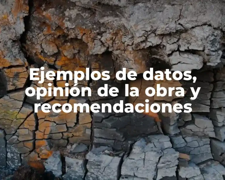Ejemplos de datos, opinión de la obra y recomendaciones