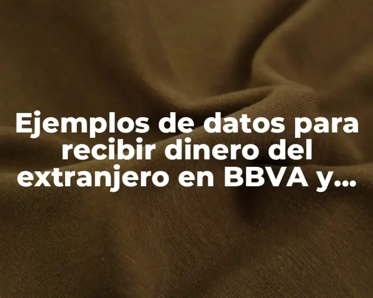 Ejemplos de datos para recibir dinero del extranjero en BBVA y Significado