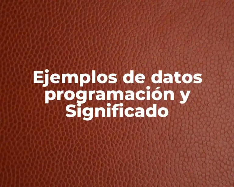 Ejemplos de datos programación y Significado
