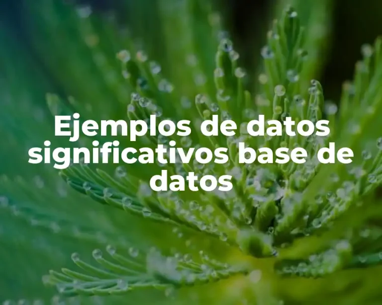 Ejemplos de datos significativos base de datos