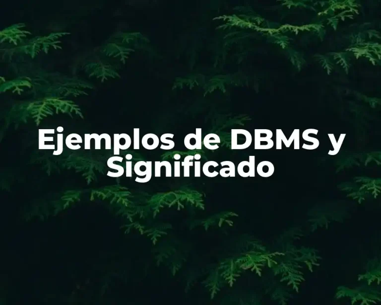 Ejemplos de DBMS y Significado