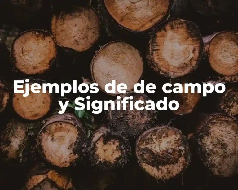 Ejemplos de de campo y Significado