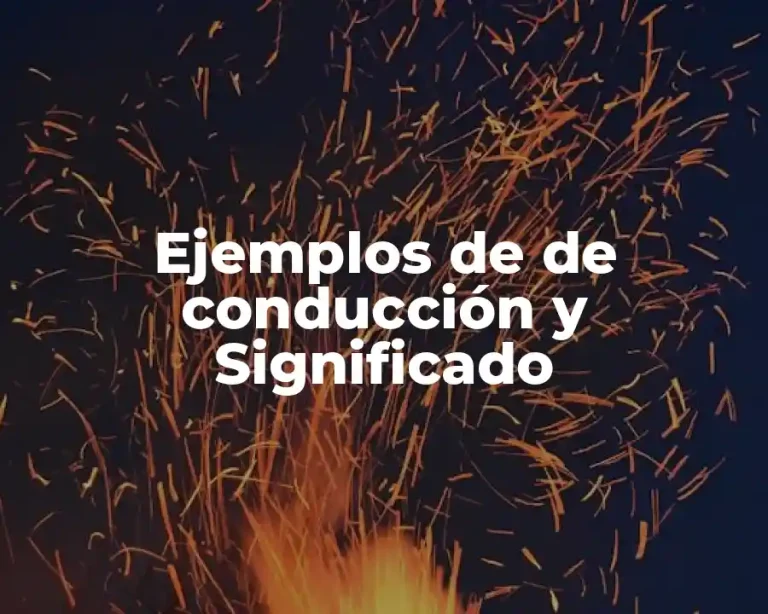 Ejemplos de de conducción y Significado