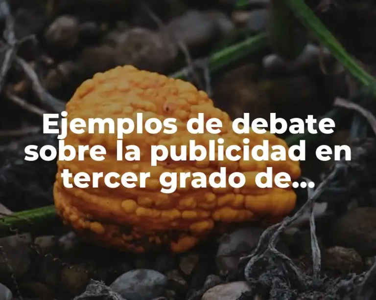 Ejemplos de debate sobre la publicidad en tercer grado de telesecundaria y Significado