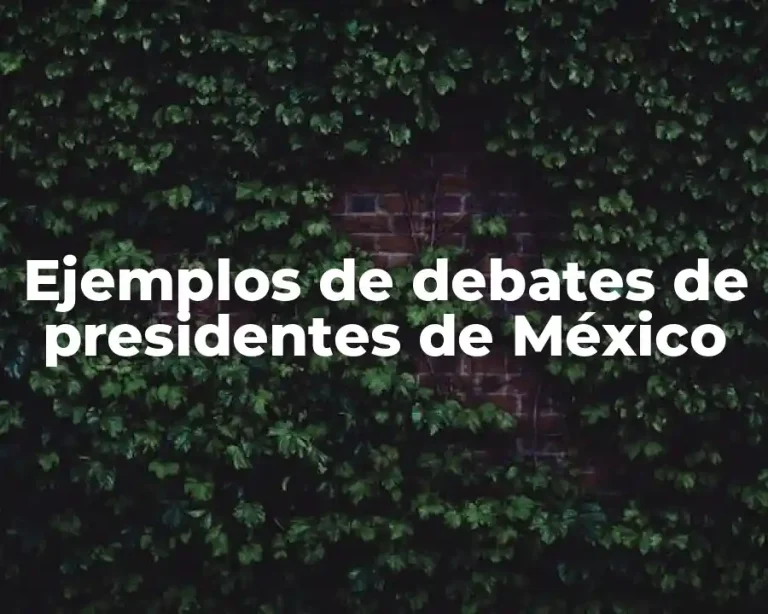 Ejemplos de debates de presidentes de México