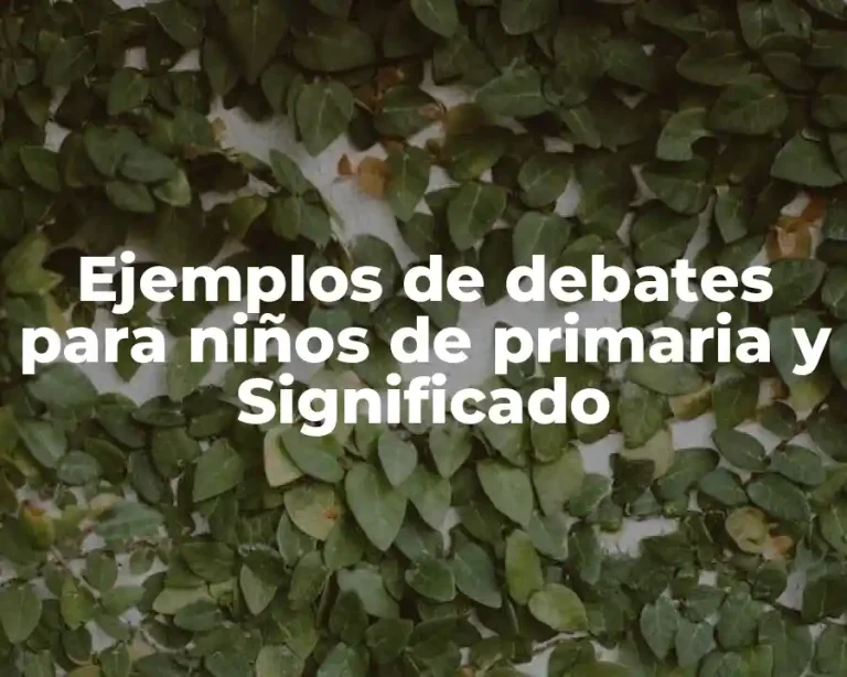 Ejemplos de debates para niños de primaria y Significado