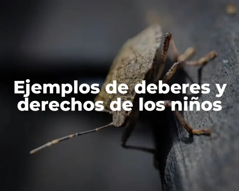 Ejemplos de deberes y derechos de los niños