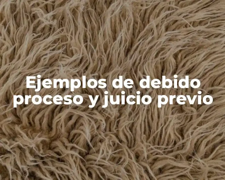 Ejemplos de debido proceso y juicio previo