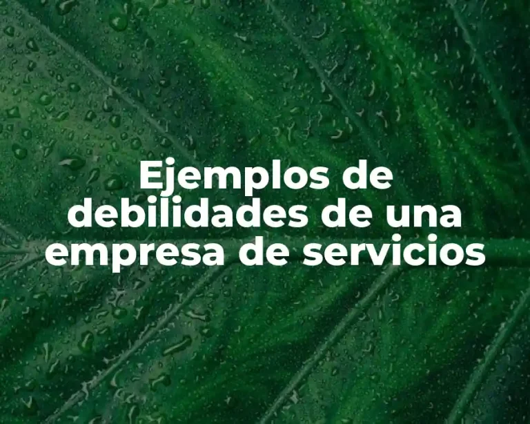 Ejemplos de debilidades de una empresa de servicios