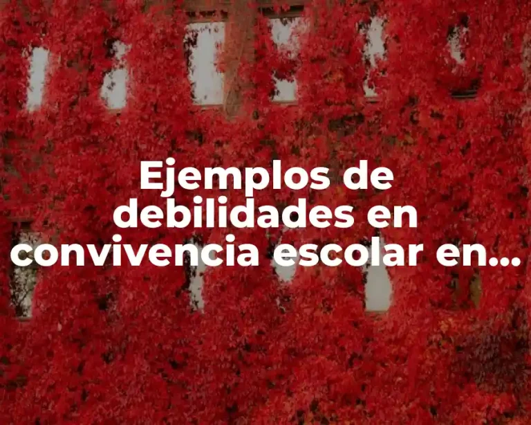Ejemplos de debilidades en convivencia escolar en algunas escuelas