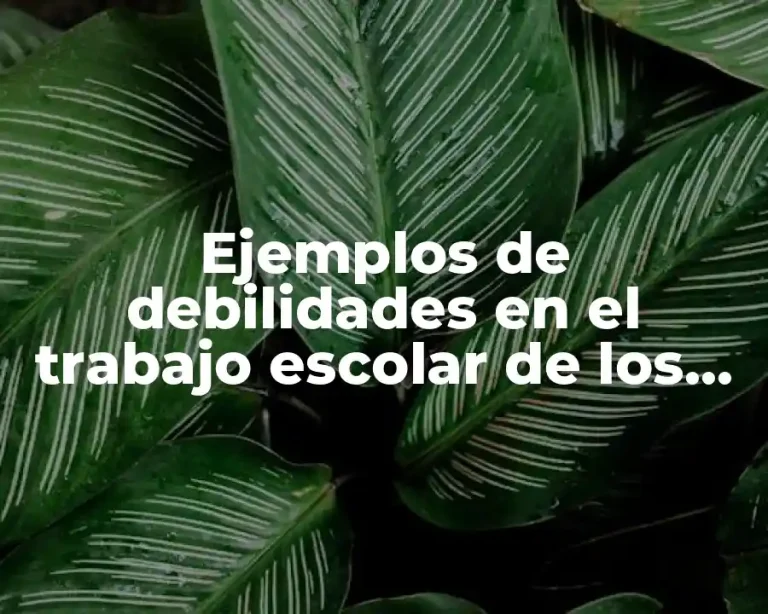Ejemplos de debilidades en el trabajo escolar de los alumnos y Significado