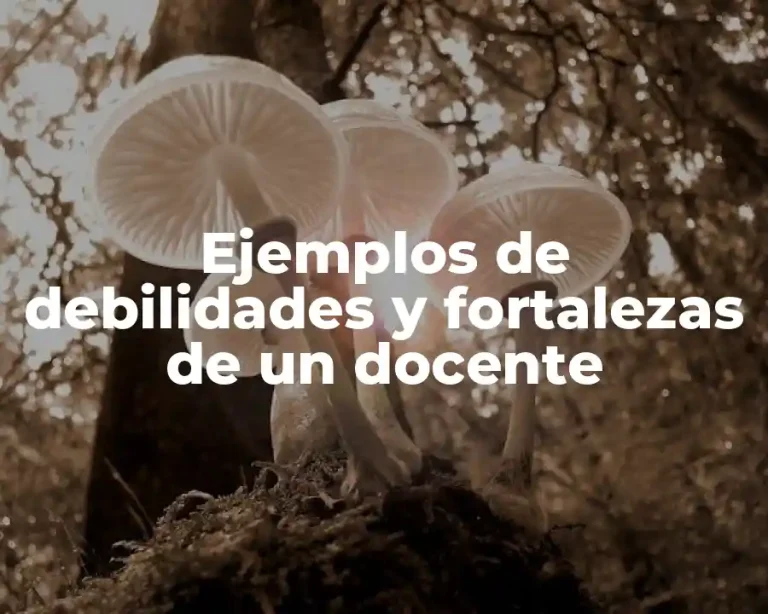 Ejemplos de debilidades y fortalezas de un docente