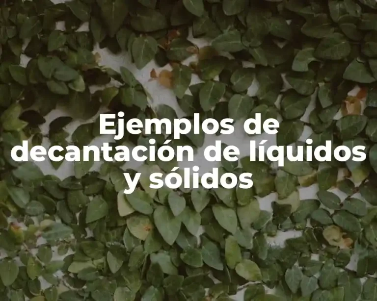 Ejemplos de decantación de líquidos y sólidos