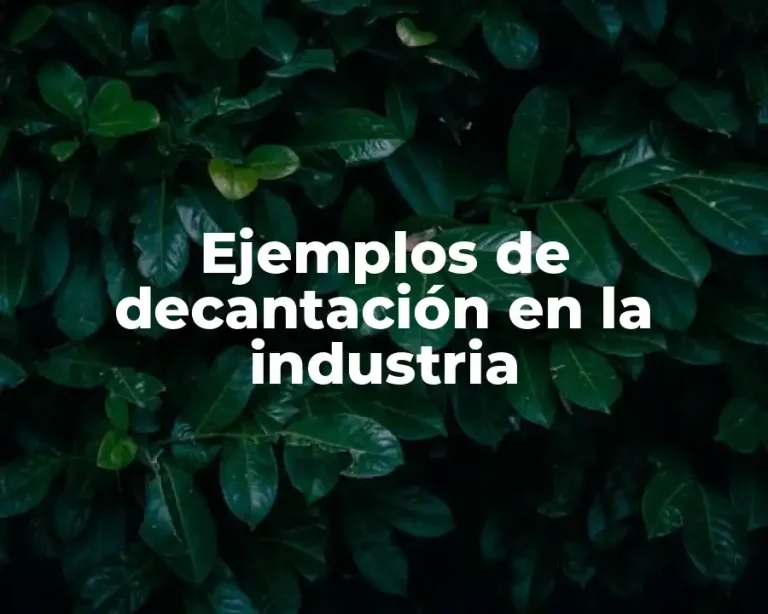 Ejemplos de decantación en la industria