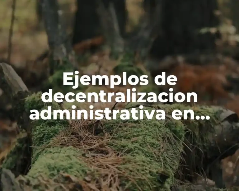 Ejemplos de decentralizacion administrativa en mexico