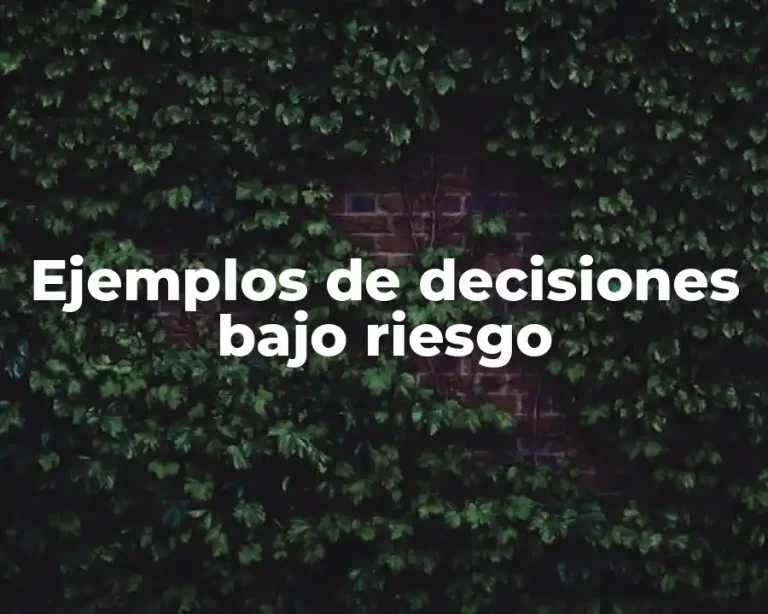 Ejemplos de decisiones bajo riesgo