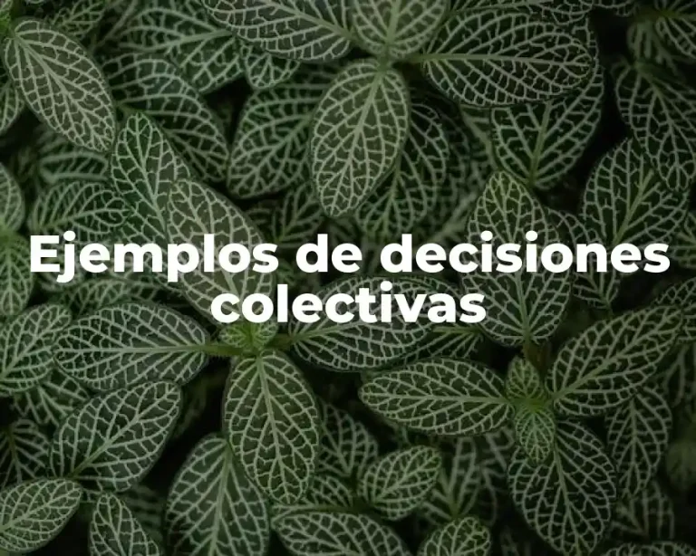 Ejemplos de decisiones colectivas